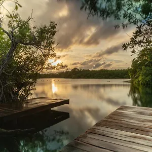 Yaxchen & Cenote Lodge Tulum